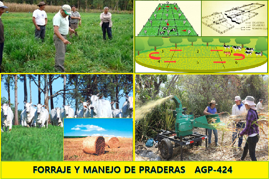 Imagen Central